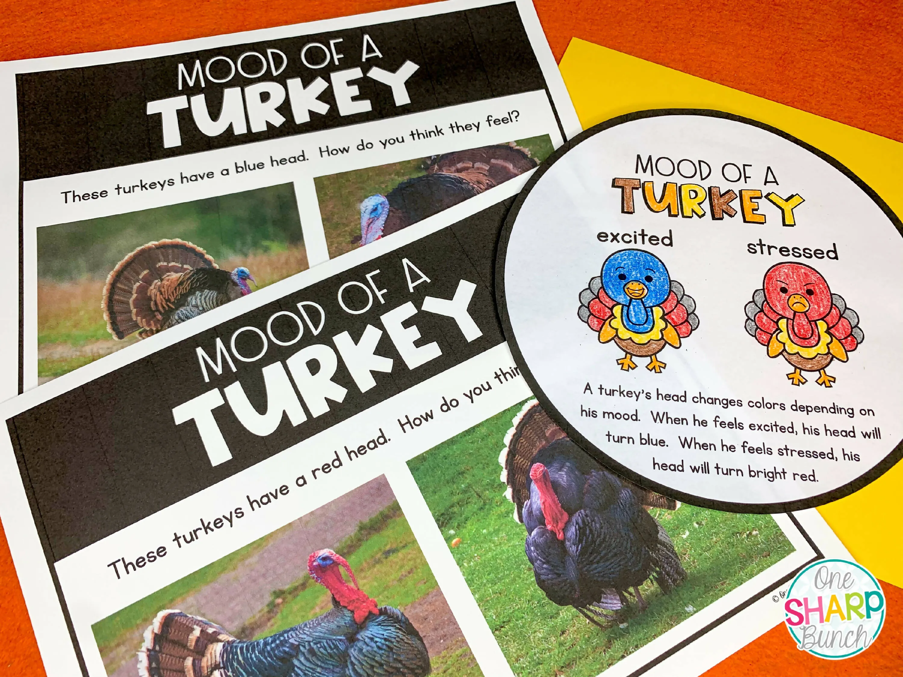 All About Turkeys: Turkey Craft, Turkey Nonfiction Unit & Turkey Life Cycle | Printable Classroom Resource | One Sharp Bunch