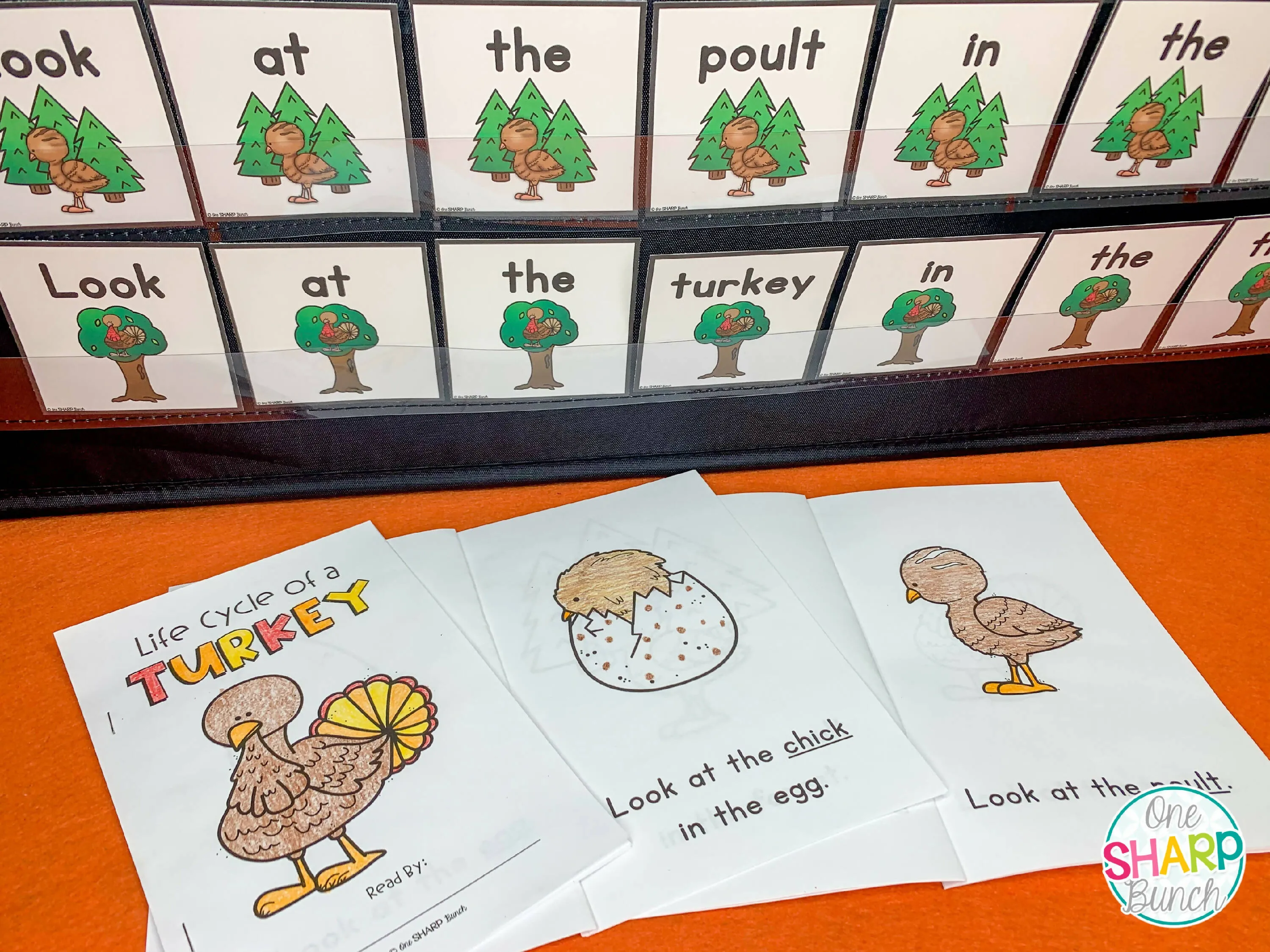 All About Turkeys: Turkey Craft, Turkey Nonfiction Unit & Turkey Life Cycle | Printable Classroom Resource | One Sharp Bunch