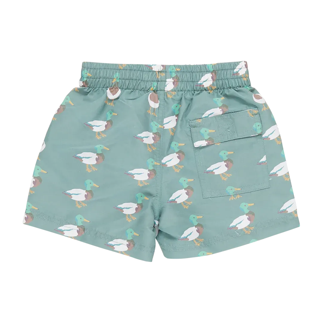 Boys Swim Trunk - Green Mallard Friends