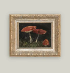 Framed Mushrooms