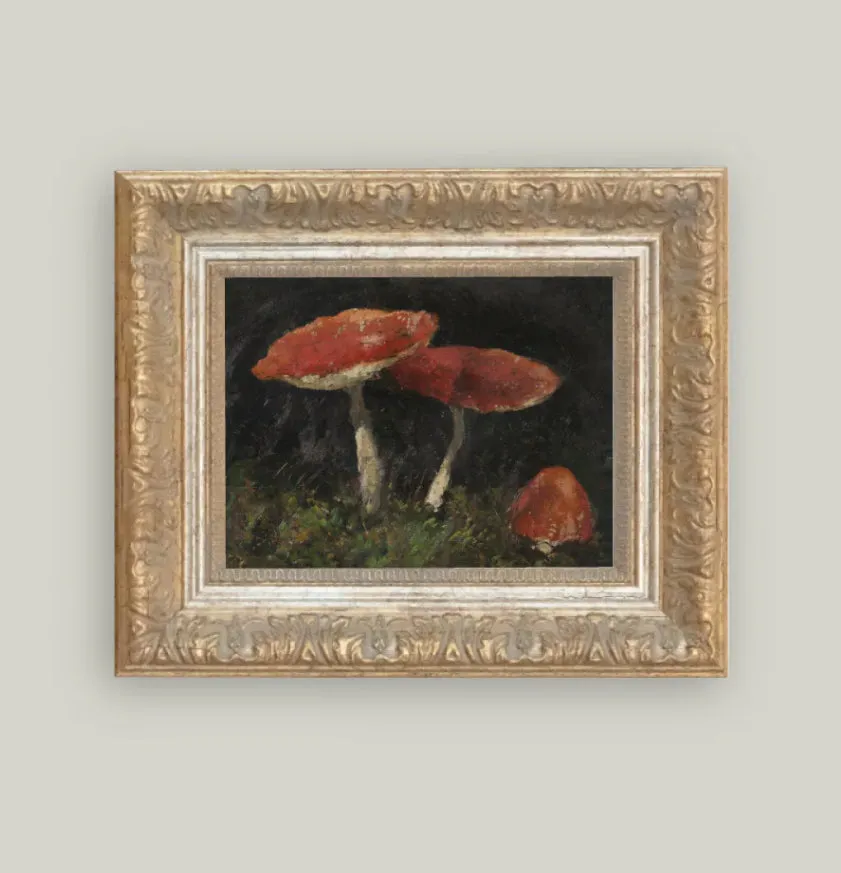 Framed Mushrooms