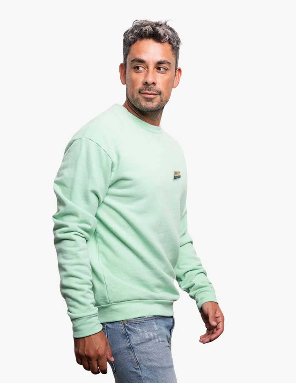 MINT VINTAGE WASHED CREW