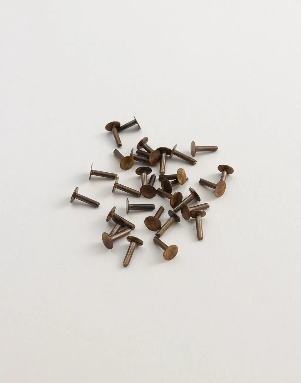 Nail Head Rivet, 1/4", (30pcs)