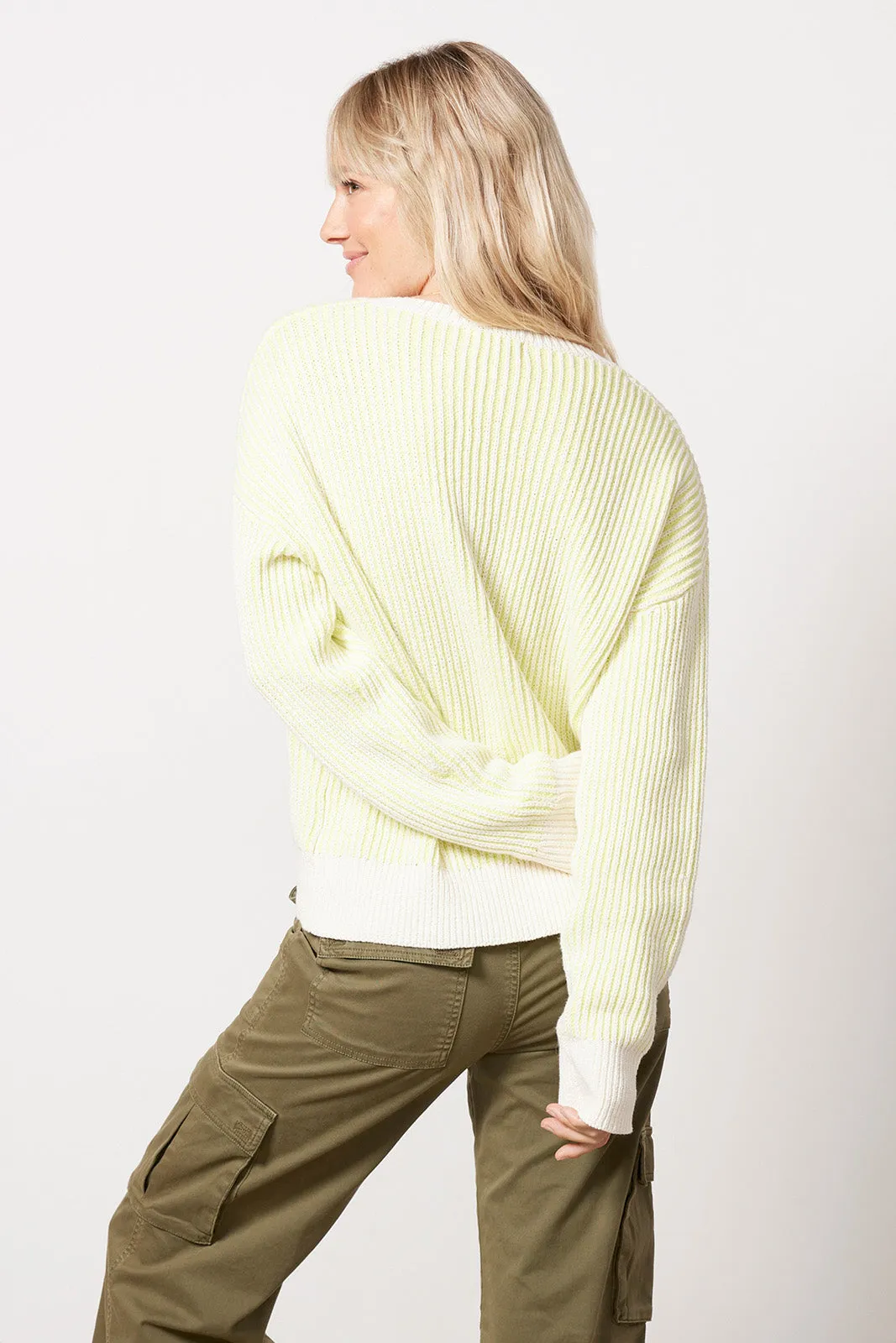 Riane Vneck Pullover