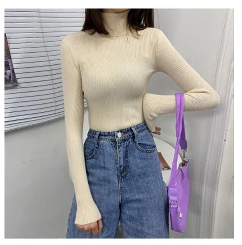 Women Turtleneck Casual Soft Knit Sweaters