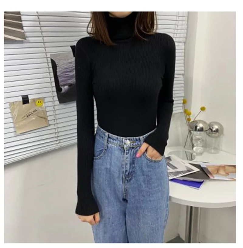 Women Turtleneck Casual Soft Knit Sweaters