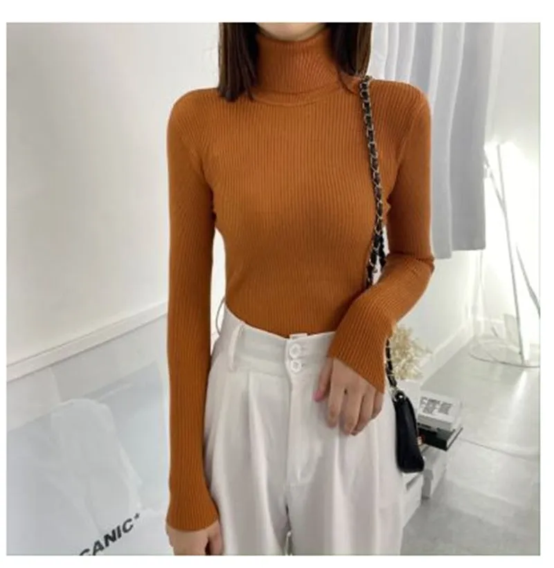 Women Turtleneck Casual Soft Knit Sweaters