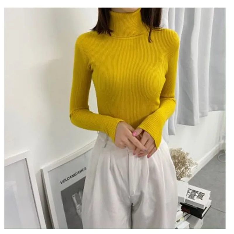 Women Turtleneck Casual Soft Knit Sweaters