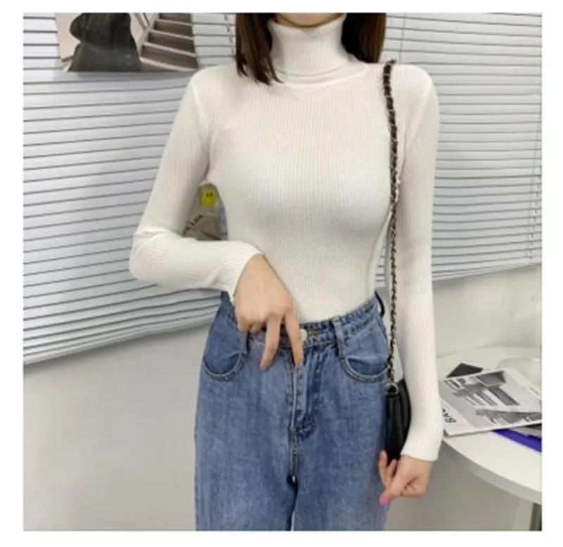 Women Turtleneck Casual Soft Knit Sweaters