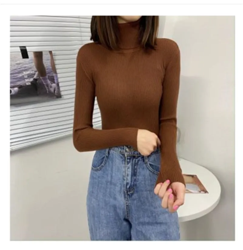 Women Turtleneck Casual Soft Knit Sweaters